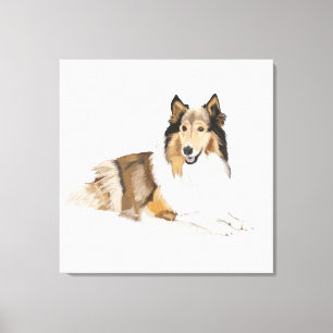 Grovhårig collie canvastryck