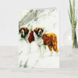 grovt och släta St Bernard - målning Kort