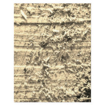 Grovt snitt Papprare