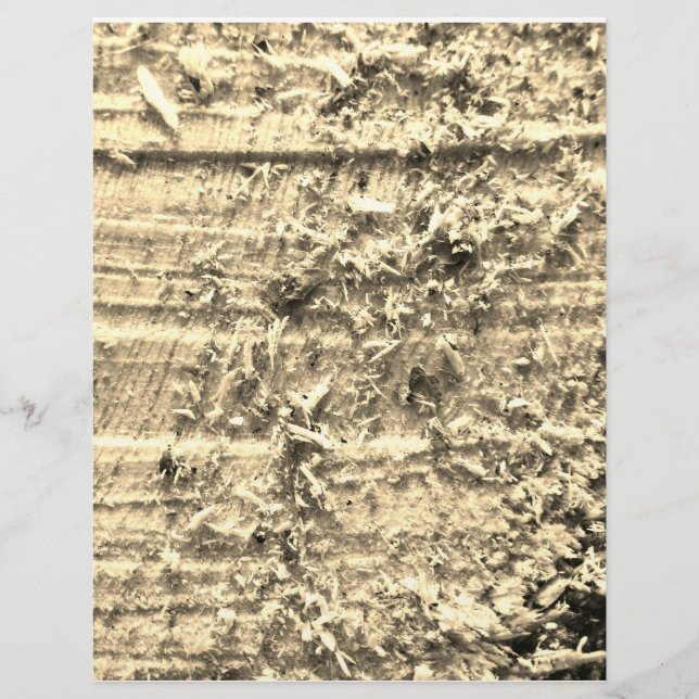 Grovt snitt Papprare Brevhuvud (Framsida)