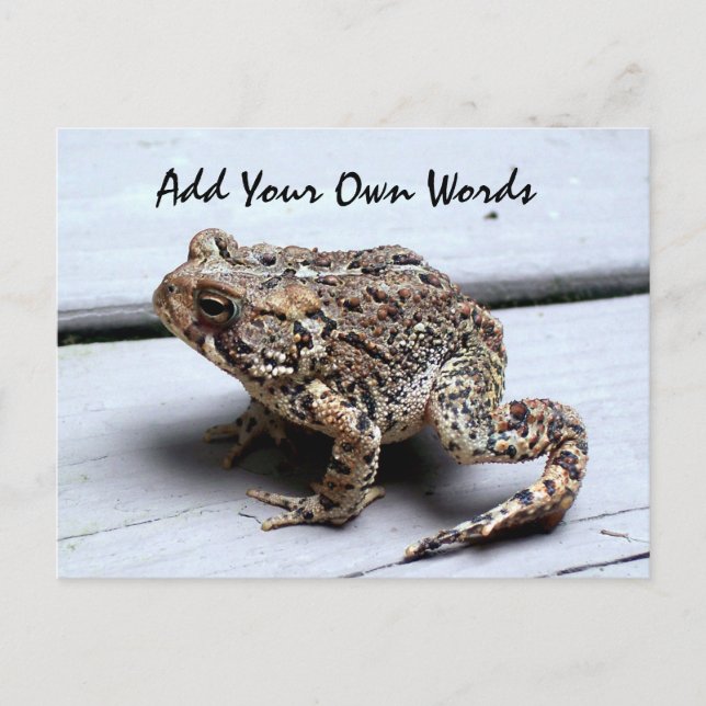 Grovt vykort (Framsida)