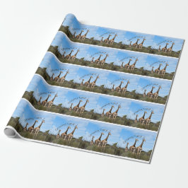 Growing Tall Safari Wrap Presentpapper