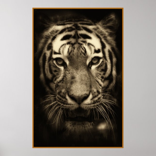 Growling Tiger Ansikte i Sepia Tones Poster (Framsidan)