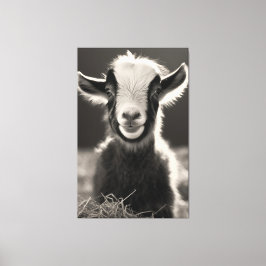 Grräcklig, monokromatisk, uttrycklig Baby-goat Por Canvastryck