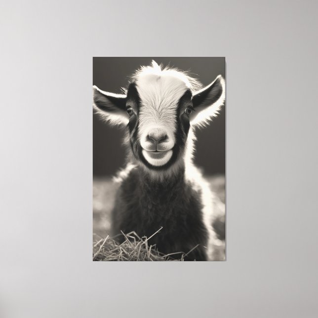 Grräcklig, monokromatisk, uttrycklig Baby-goat Por Canvastryck (Framsida)