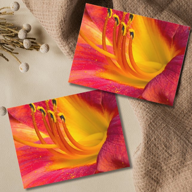 Grräckt rött dagligt vykort (Skapare uppladdad)