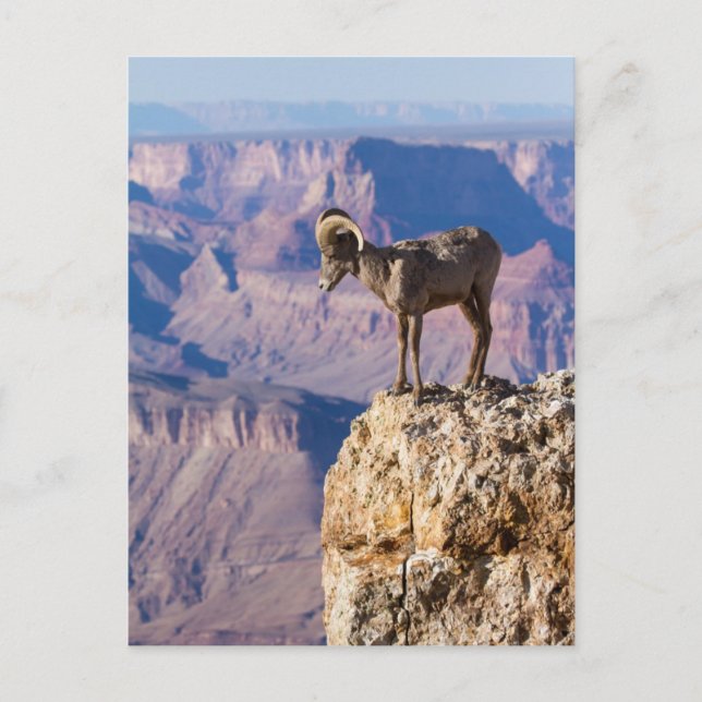 Grubbla avgrunden vykort (Framsida)