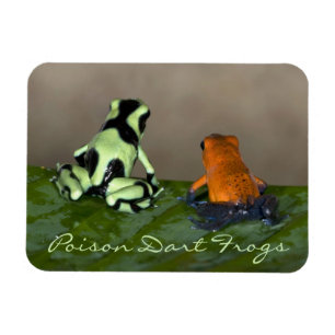 Grubbla läget magnet