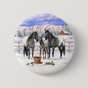 Grulla Grått Appaloosa-hästar på en gård i Snö Knapp
