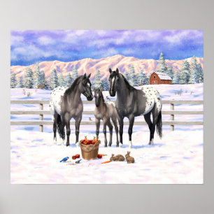 Grulla Grått Appaloosa-hästar på en gård i Snö Poster