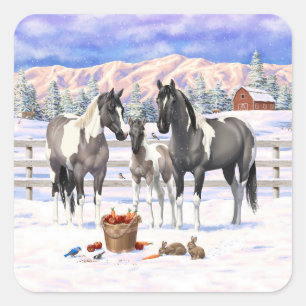 Grulla Pinto Grått Paint Horses on a Winter Farm Fyrkantigt Klistermärke