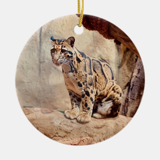 grumlig leopard bild natur julgransprydnad keramik (Framsidan)