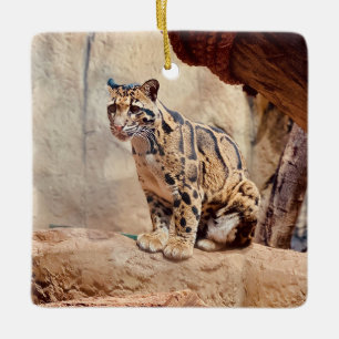 grumlig leopard bild natur julgransprydnad keramik