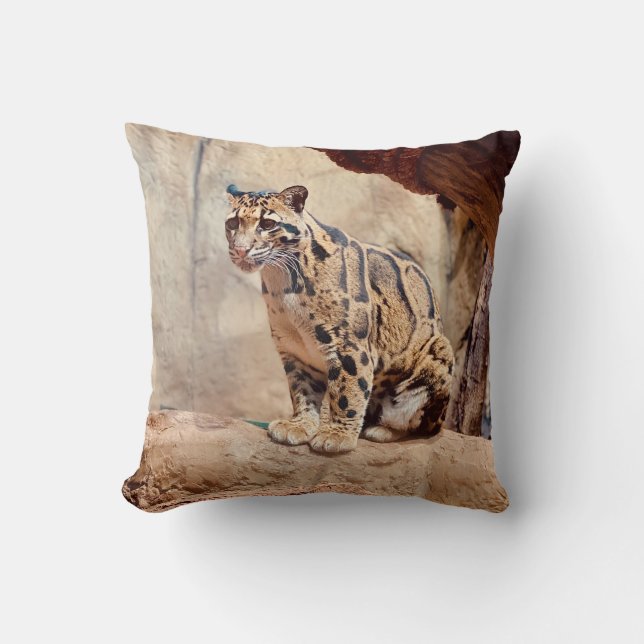 grumlig leopard bild natur kudde (Framsida)