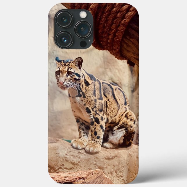 grumlig leopard bild natur vilda djur exotisk (Baksida)