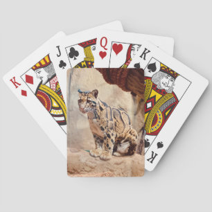 grumlig leopard bild natur vilda djur exotisk casinokort