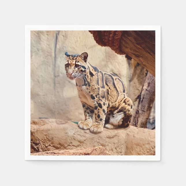 grumlig leopard bild natur vilda djur exotisk pappersservett (Framsidan)