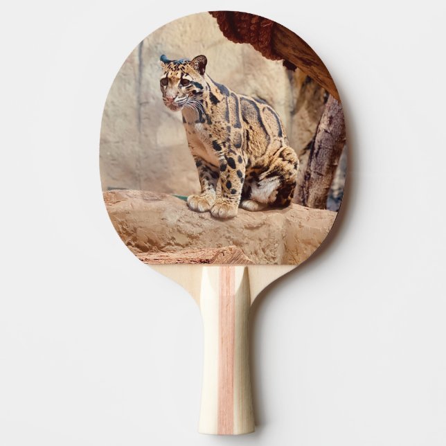 grumlig leopard bild natur vilda djur exotisk pingisracket (Framsidan)