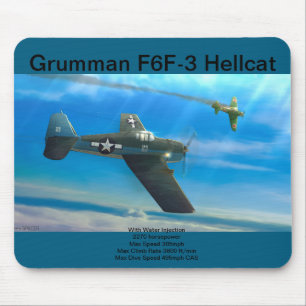 Grumman F6F-3 Hellcat musmattor