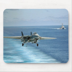 Grumman F-14 Tomcat Musmatta