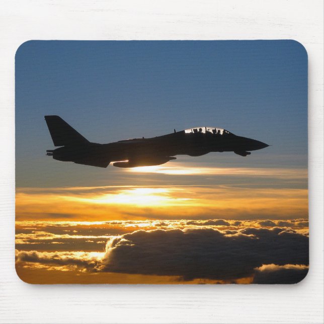 Grumman F-14 Tomcat Musmatta (Framsidan)