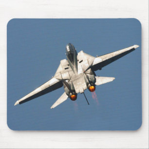 Grumman F-14 Tomcat Musmatta