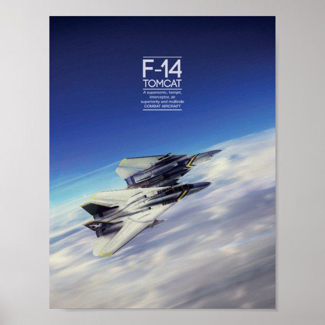 Grumman F-14 Tomcat poster (Framsidan)