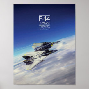Grumman F-14 Tomcataffisch Poster