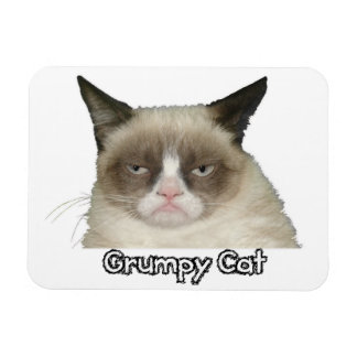 Grumpad katt 3x4 Flexibel magnet