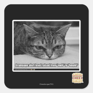 Grumpage-varning Fyrkantigt Klistermärke