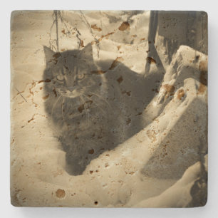 Grumpy Angel Cat i Snö Underlägg Sten