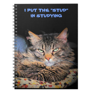 Grumpy Angel placerar Stud i studien Anteckningsbok Med Spiral