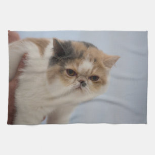 Grumpy ansiktekatt kökshandduk