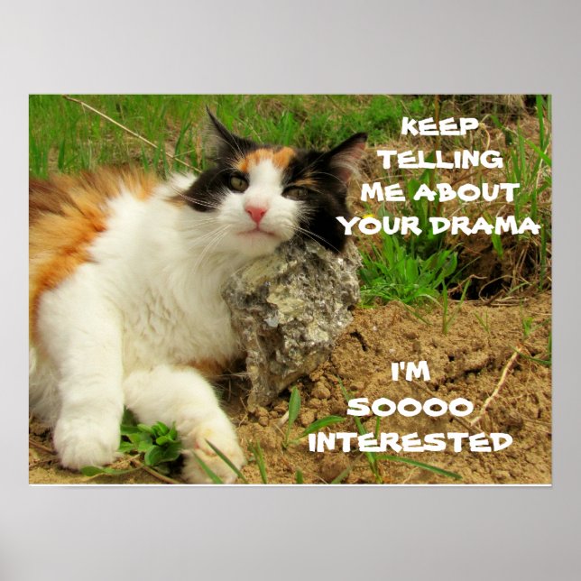 Grumpy Calico Cat Drama Sarcasm Poster (Framsidan)