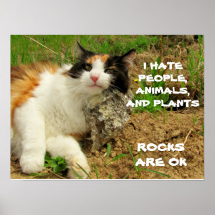 Grumpy Calico Hates Allt utom Sten Poster