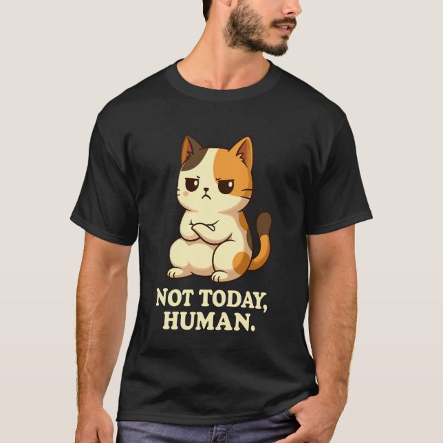 Grumpy Calico Katt Inte Idag, Människa Rolig Kattä T Shirt (Framsida)