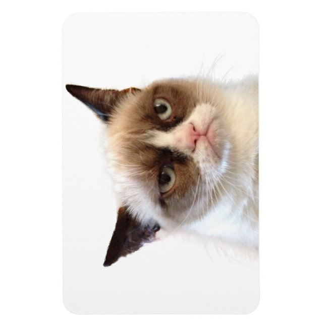 Grumpy Cat Flexible Magnet (Vertikal)