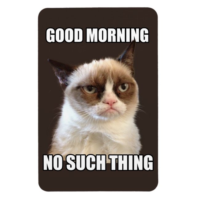 Grumpy Cat Flexible Magnet (Vertikal)