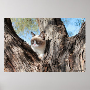 Grumpy Cat™ i en trädaffisch Poster
