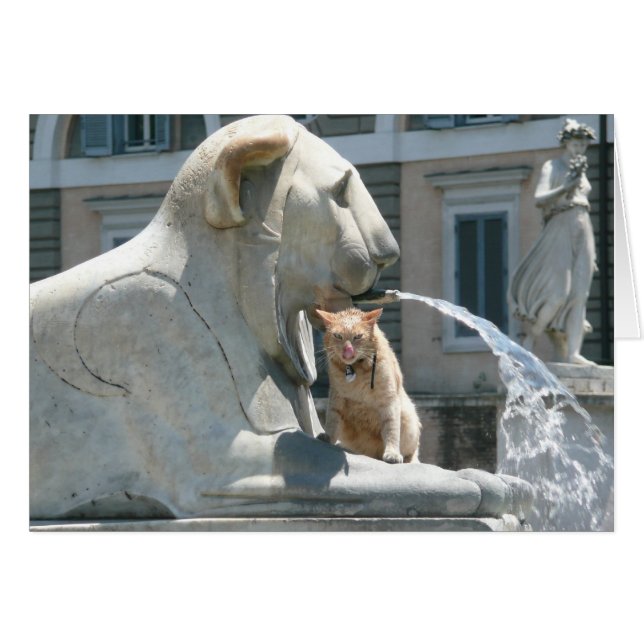 Grumpy Cat i Rom, Fontän i Piazza Hälsningskort (Framsidan Horizontal)