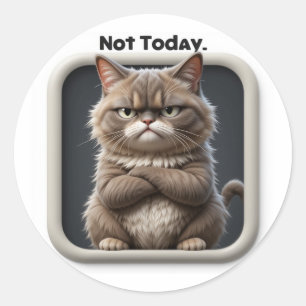 Grumpy Cat "Inte Idag" Hantverk Klistermärke – Rol