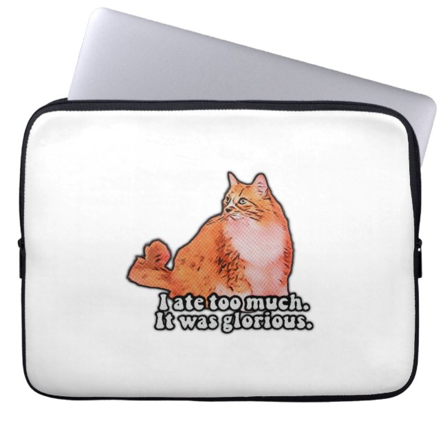 Grumpy cat memmer för kattpersoner och kattunge äl laptop fodral (Framsidan)