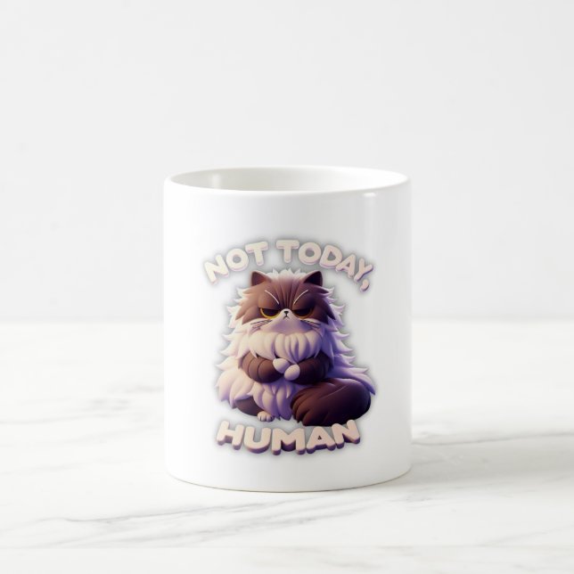 Grumpy Cat "Not Today, Human" Funny Coffee Mugg (Center)
