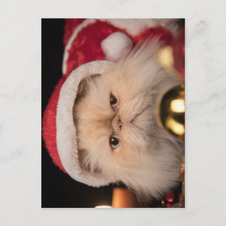 Grumpy Cat Santa Vykort