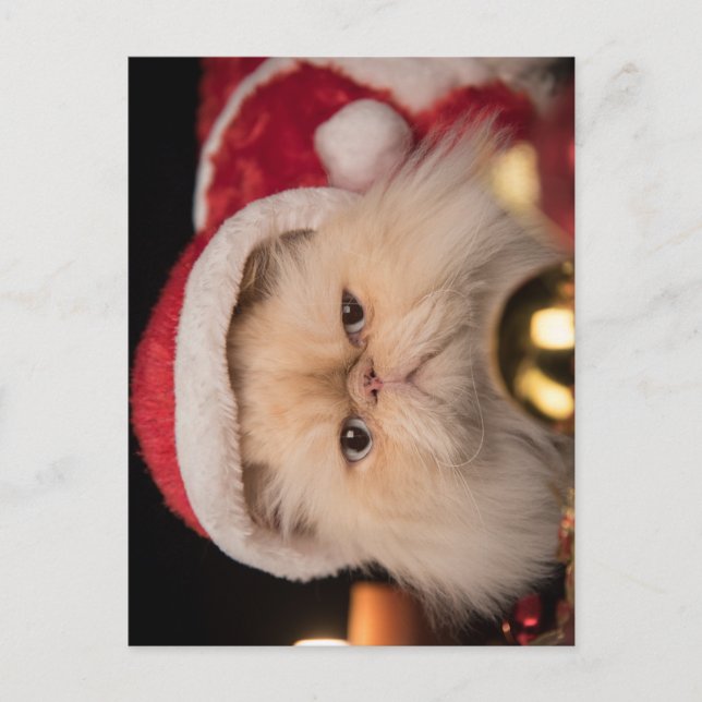 Grumpy Cat Santa Vykort (Framsida)