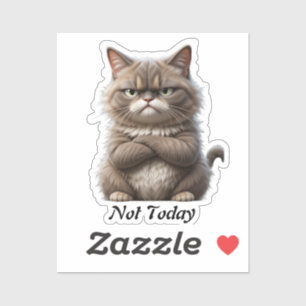 Grumpy Cat Vinyl Sticker - "Not Today" Mood Decal Klistermärken