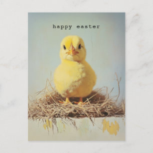 Grumpy Chick i Nest Vykort