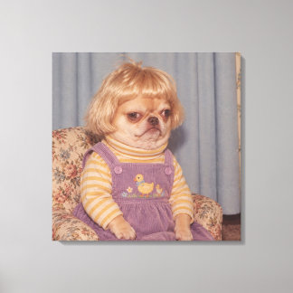 Grumpy Chihuahuas Retro Picture Day-porträtt Canvastryck