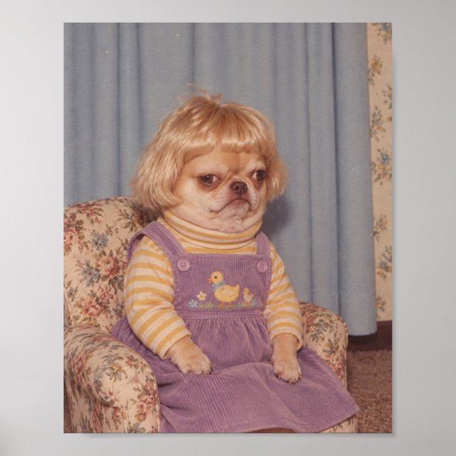 Grumpy Chihuahuas Retro Picture Day-porträtt Poster (Framsidan)