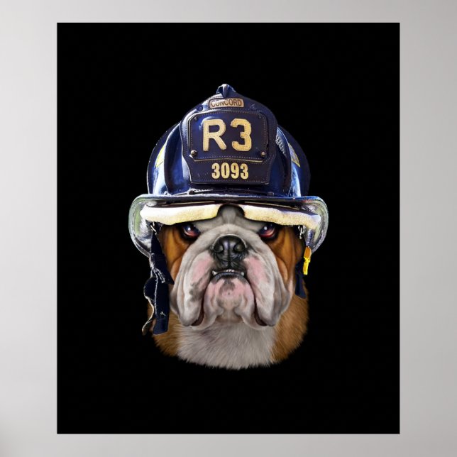 Grumpy English Bulldog Wearing Firefighter Helmet Poster (Framsidan)